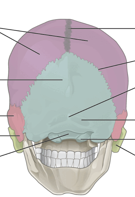 <p>What is the grey line?</p>