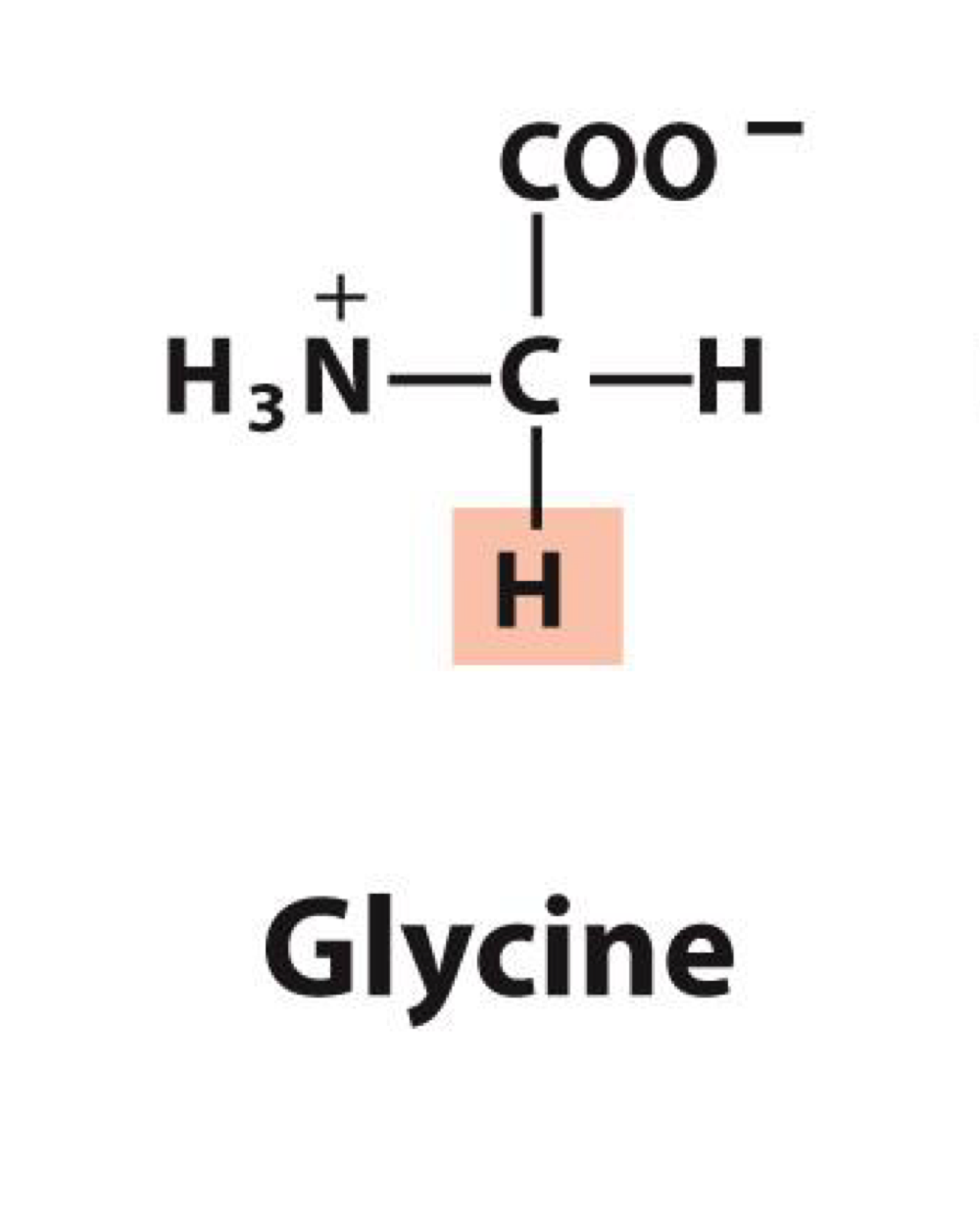<p>Gly</p>