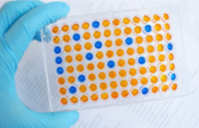 <p>same as a Western blot BUT is more precise/sensitive, ng of protein is all that’s required. Liquid-based samples.</p>