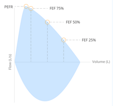 <p>Flow reaches a peak value, called the peak expiratory flow&nbsp;rate (PEFR). Following this, flow rate decreases linearly as more air is expired (the curve descends in a relatively straight line).&nbsp;</p><p>The flow during the&nbsp;middle half of forced expiration is referred to as forced expiratory flow (FEF). It is common to mark FEF at defined percentages of the forced vital capacity (75%, 50%, and 25%).&nbsp;</p>