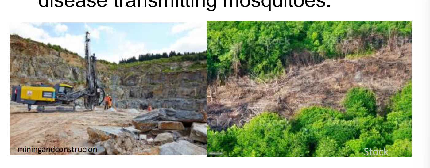 <p>Deforestation and mining create more spots that collect rainwater offering environments suitable for larvae of disease transmitting mosquitoes.</p>