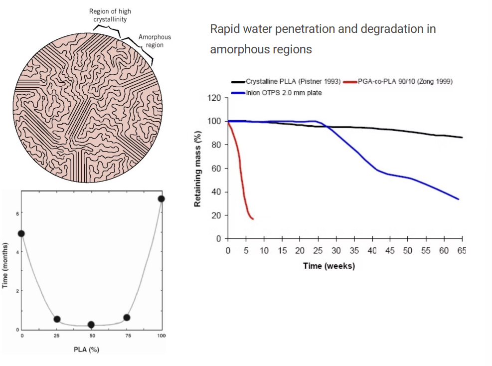<p>Poly(α-hydroxy acid) => a class of biodegradable polymers made from α-hydroxy monomers. Important polymers in this family include: PLA, PGA, and PLGA (a copolymer of lactic acid and glycolic acid). Key Properties: They degrade into natural metabolites: lactic acid (enters metabolism) and glycolic acid (further processed/excreted). </p><p>PLA and PGA degrade inside the body! These polymers = biodegradable and break down in the body into HARMLESS products! PLA => lactic acid. PGA => glycolic acid! => makes them useful for medical implants like sutures, drug delivery systems, and bone devices. </p><p>Polylactide: semi-crystalline (elastic = 2.7 GPa) (moderately stiff), <strong>hydrophobic</strong>, degrades to lactic acid, applications in drug delivery potential. Chat: Less hydrophobic than polyglycolide, so it degrades slower!</p><p>Polyglycolide: higher crystallinity (E = 7. GPa) (higher stiffness), <strong>hydrophilic</strong>, degradable sutures, degrades to glycolic acid, applications = bone pins. Think poly<strong>g</strong>lycolide = guppies = fish! higher crystallinity = stronger but hydrophilicity allows faster water uptake => speeding degradation!</p><p>Picture: crystalline regions = tightly packed => resist water penetration! loosely packed = water enters easily! degradation starts in amorphous regions first! </p><p>Bottom Left Graph: Effect of composition shows degradation time versus %PLA in a <strong>PLA-PGA copolymer.</strong> <strong>Middle composition degrades the FASTEST => Why? Mixing PLA and PGA disrupts the crystallinity, creating MORE amorphous regions => faster breakdown! Engineers tune PLA/PGA ratios </strong>to control how long an implant lasts!</p><p>Right Graph: Crystalline PLLA (black) = very slow degradation; PGA-co-PLA 90/10 = very rapid degradation (reminder: mixing PLA and PGA disrupts the crystallinity, creating more amorphous regions => faster breakdown!). Inion OTPS 2.0 mm plate (Blue line)<strong>:</strong> This represents a commercial orthopedic device. It maintains strength for about 25 weeks (the "lateau") before undergoing a more rapid loss of mass, likely designed to provide support during bone healing and then resorb.</p><p>Some More on Right Graph from Gem: At the extremes (<strong>0% or 100% PLA</strong>), the polymers (Pure PGA or Pure PLLA) are highly crystalline and take months or years to degrade. At an intermediate ratio (around <strong>50/50 PLGA</strong>), the material becomes nearly 100% amorphous because the alternating monomers "confuse" the chain and prevent folding. This results in the lowest possible degradation time (the "trough" of the curve).</p>