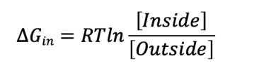 <p><span>Use this formula for estimating the ΔG for moving a solute from outside the cell to inside the cell from ICA Bioenergetics and enzymes:</span></p><p></p><p><span>If an uncharged solute molecule has a higher concentration outside of the cell versus inside, the ΔG for solute movement is:</span></p>