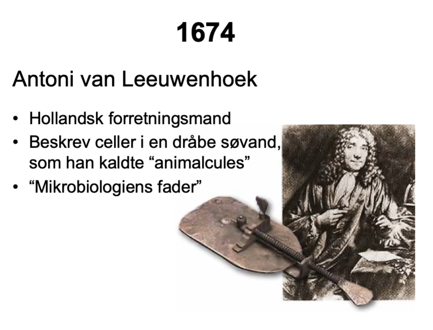 <p><strong>Antoni van Leeuwenhoek</strong><span> (1674).</span></p>