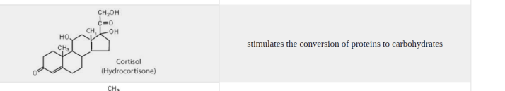 <p>Stimulates conversion of proteins to carbohydrates </p>