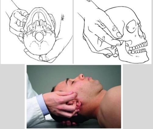 <p>What is this hold </p>