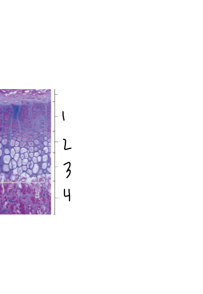 <p>What zone is 2?</p>