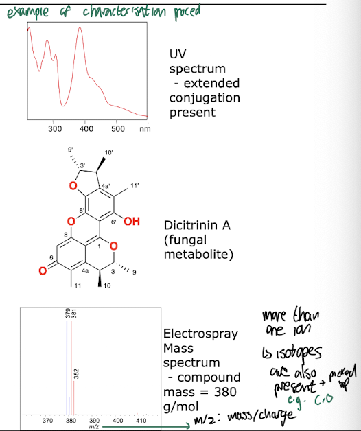<ul><li><p><strong>Mass spectrometry: </strong>determine molecular mass of compound, has high sensitivity</p></li><li><p><strong>Ultra-violet spectroscopy: </strong>Looks at aromatic systems, double bonds, more conjugation -> higher wavelengths</p></li><li><p><strong>Infra-red spectroscopy:</strong> Bond vibrations, useful for determining functional groups</p></li><li><p><strong>Nuclear Magnetic Resonance (NMR): </strong>Determines chemical environment of atoms, Detailed structural information, issue of low sensitivity</p></li></ul><p></p>