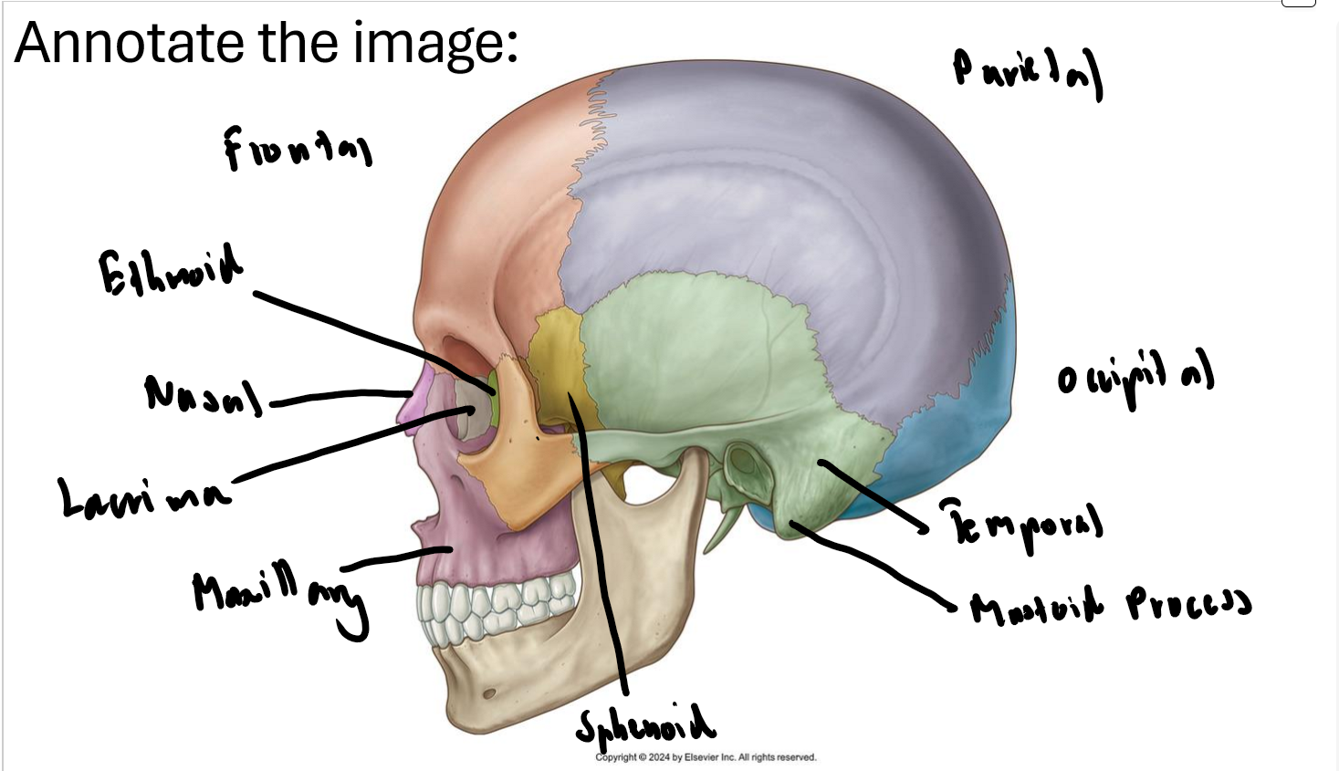 knowt flashcard image
