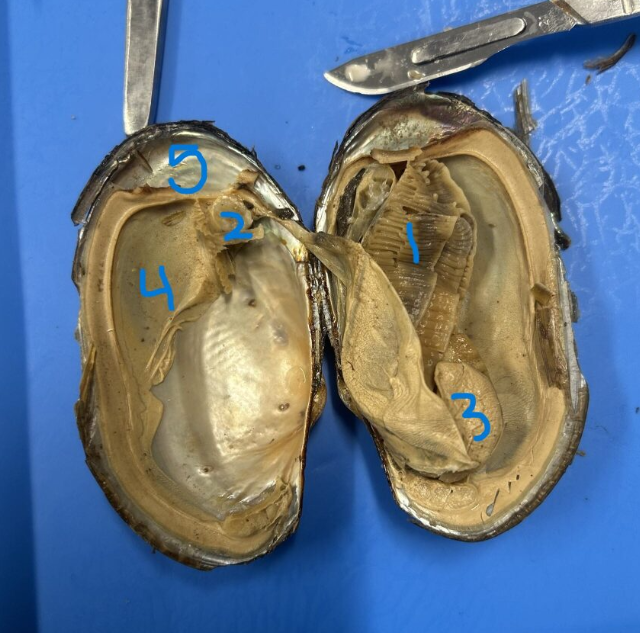 <p>Identify 1-5</p>