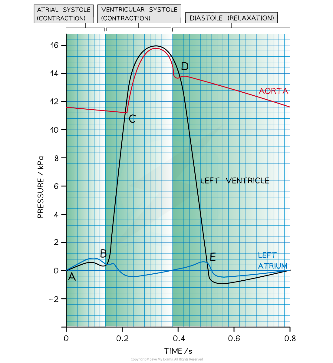 <p>Describe the graph</p>