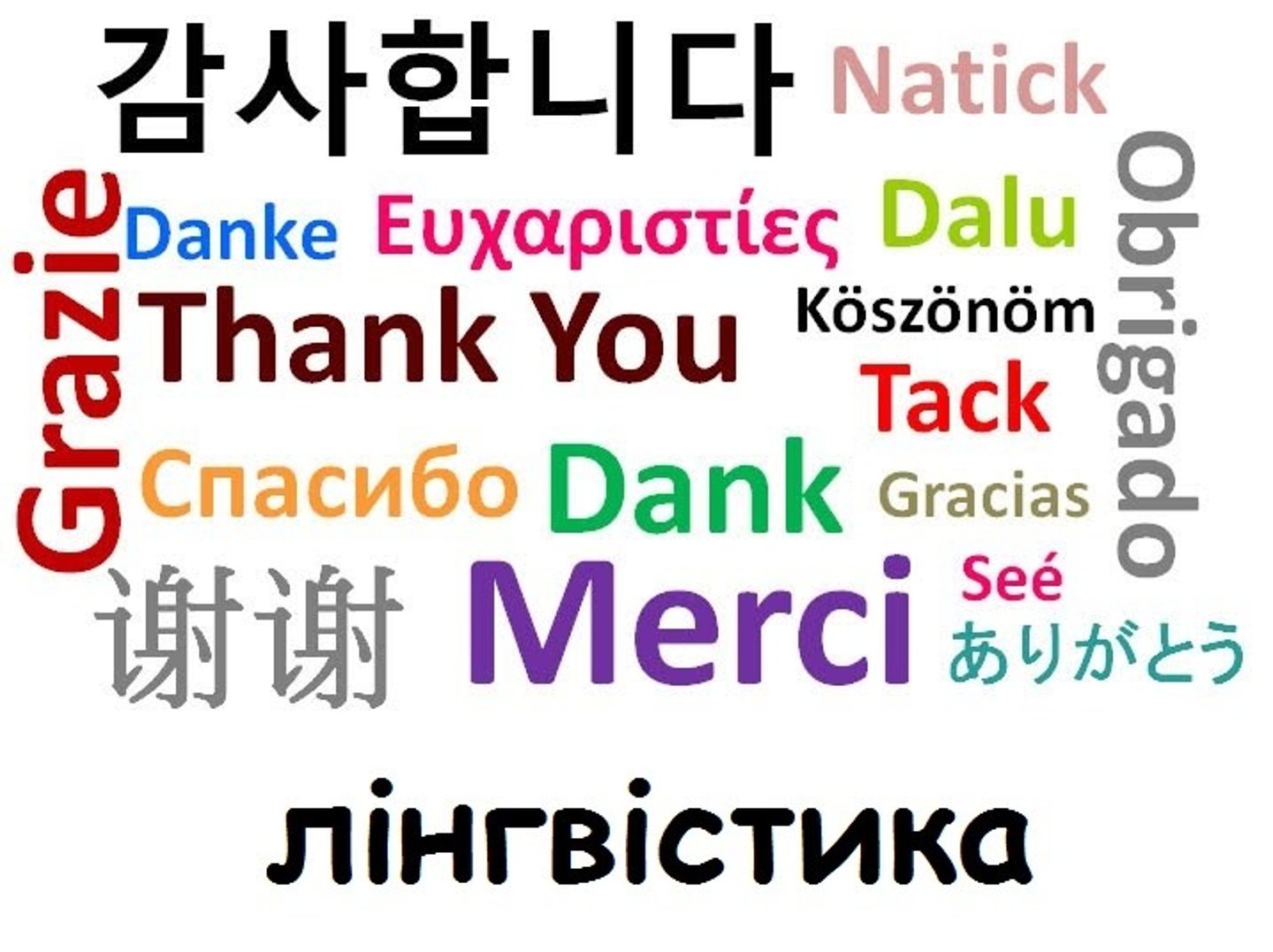 <p>language - /ˈlæŋɡwɪdʒ/ [c/u]</p>