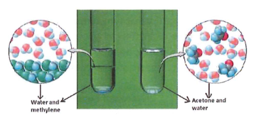 <p>In the image to the right, which of the two substances indicated are miscible?</p>
