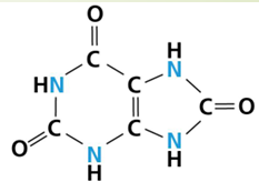 <p>Requires even more ATP and enzymes </p><p>Conserves water </p><p>e.g., birds, reptiles, insects</p><p></p>