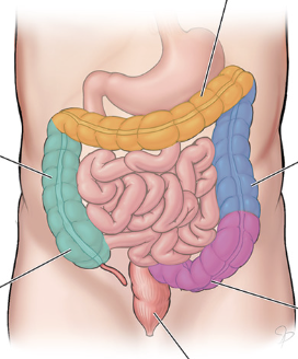 <p>bottom R arrow</p>