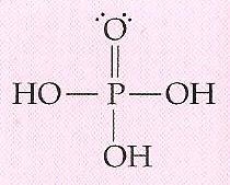 <p>partial positive</p>