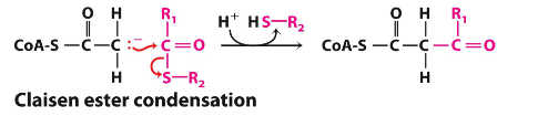<p>ester into a ketone</p><p></p>