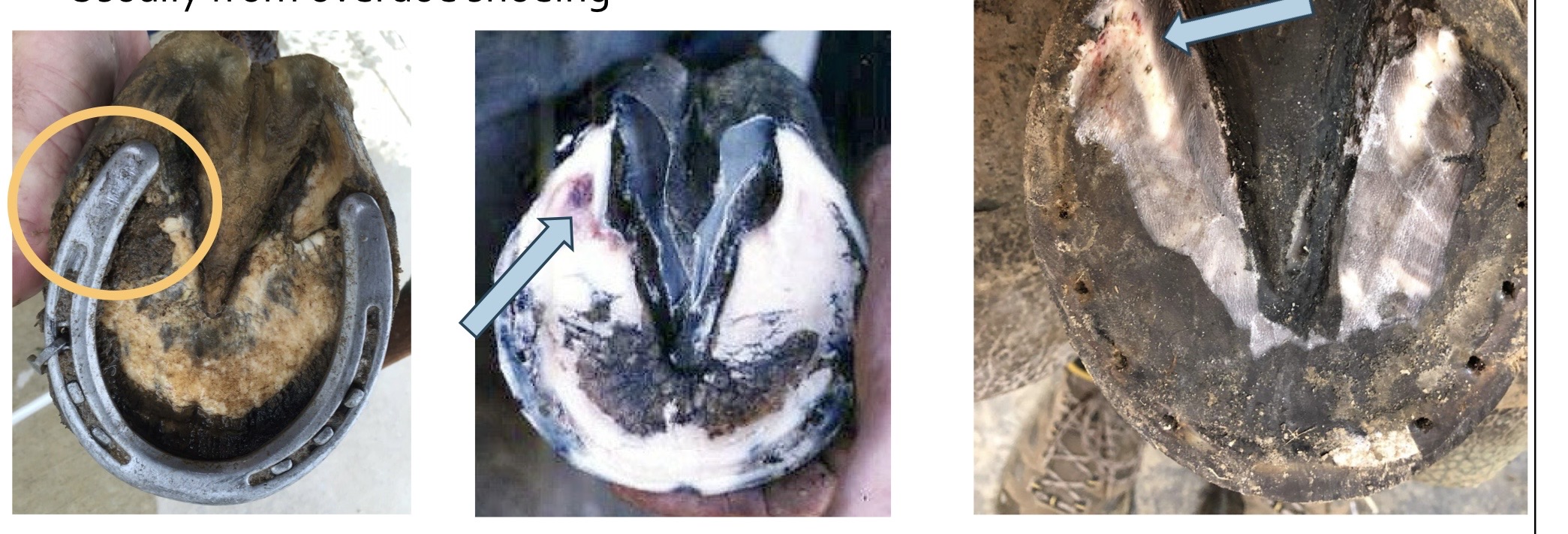 <p>what are these?</p>