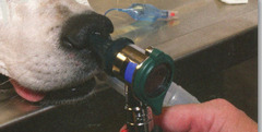 <p>What is this, and how do you decide where to look first?</p>