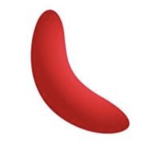 <p>Which Red Blood Cell is this?</p>