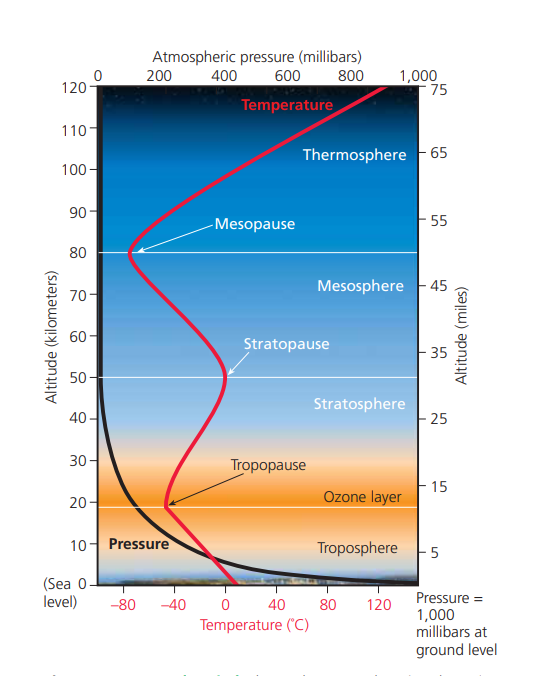 <p>the atmospheric layer closest to the earth’s surface. </p><ul><li><p>This layer extends only about 17 kilometers (11 miles) above sea level at the equator and 8 kilometers (5 miles) over the poles. If the earth were the size of an apple, this lower layer containing the air we breathe would be no thicker than the apple’s skin</p></li><li><p>a dynamic system involved in the chemical cycling of the earth’s vital nutrients </p></li><li><p> Its rising and falling air currents and winds are largely responsible for the planet’s short-term weather and long-term climate</p></li></ul><p></p>