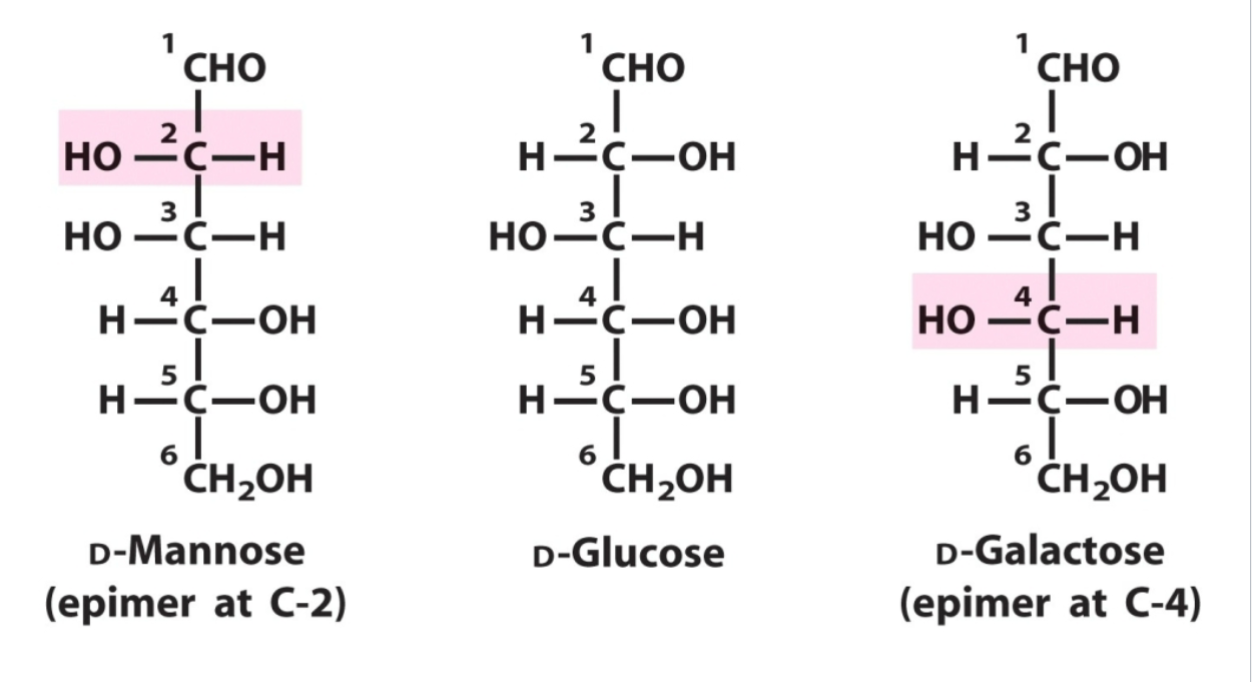 <p>differ only by configuration around one asymetric carbon, interconverting requires breaking a covalent bond</p>