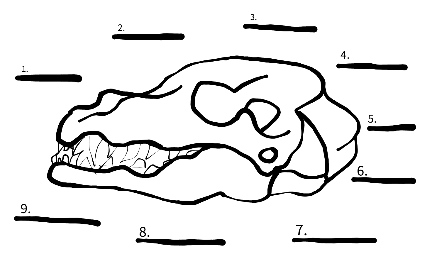 <p>#4</p>