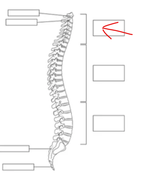 <p></p>