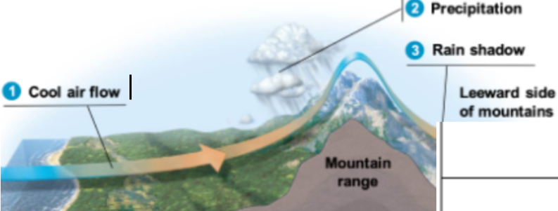 <p><span style="background-color: transparent;"><strong>Elevation</strong>:</span></p><ul><li><p><span style="background-color: transparent;">Temperature decreases at higher elevations.</span></p></li><li><p><span style="background-color: transparent;">Low elevation has higher temperatures </span></p></li><li><p><span style="background-color: transparent;">Precipitation increases at high elevations on the windward side of mountains because rising air cools, causing water vapor to condense &amp; fall as rain. After crossing the mountain, the air descends on the leeward side, becomes drier, &amp; creates a rain shadow with little precipitation.</span></p></li></ul><p></p>