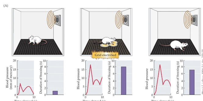 <p>What is happening in each of these images?</p>