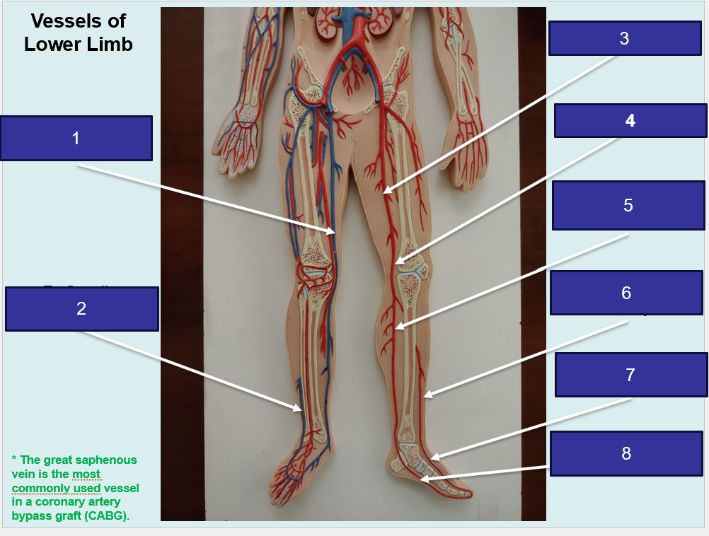 <p>What #8</p>