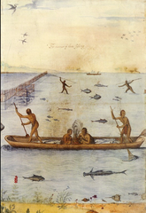 <p>Environment: Rivers: Made Canoes for travel and fishing</p><p>Heavy forests: made longhouses from the trees</p><p>Climate: temperate (mild, hot-cold)</p><p>Wigwams - summer and hunting</p><p>Longhouses - in winter</p>
