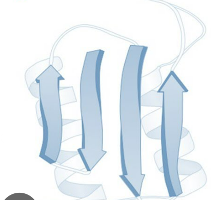 <p>What is this secondary structure?</p>