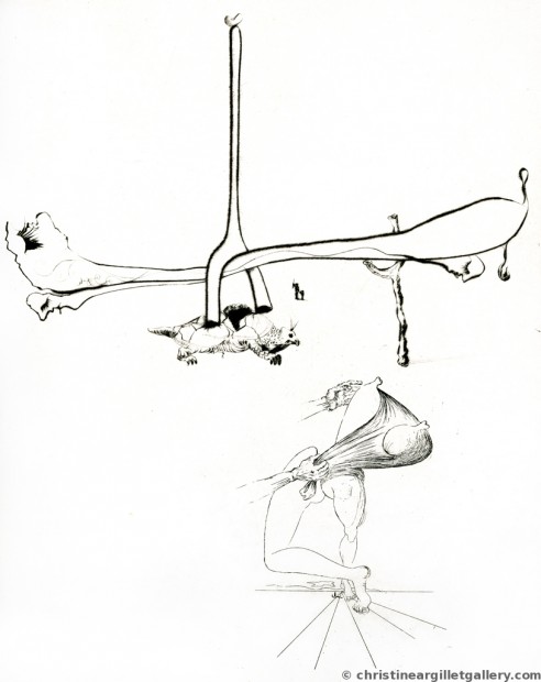 term image