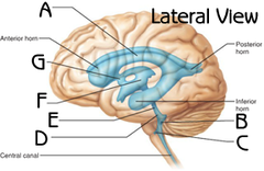 <p>d</p>