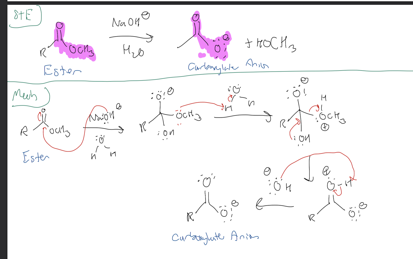 <p><strong>Ester → Carboxylate Anion</strong></p>