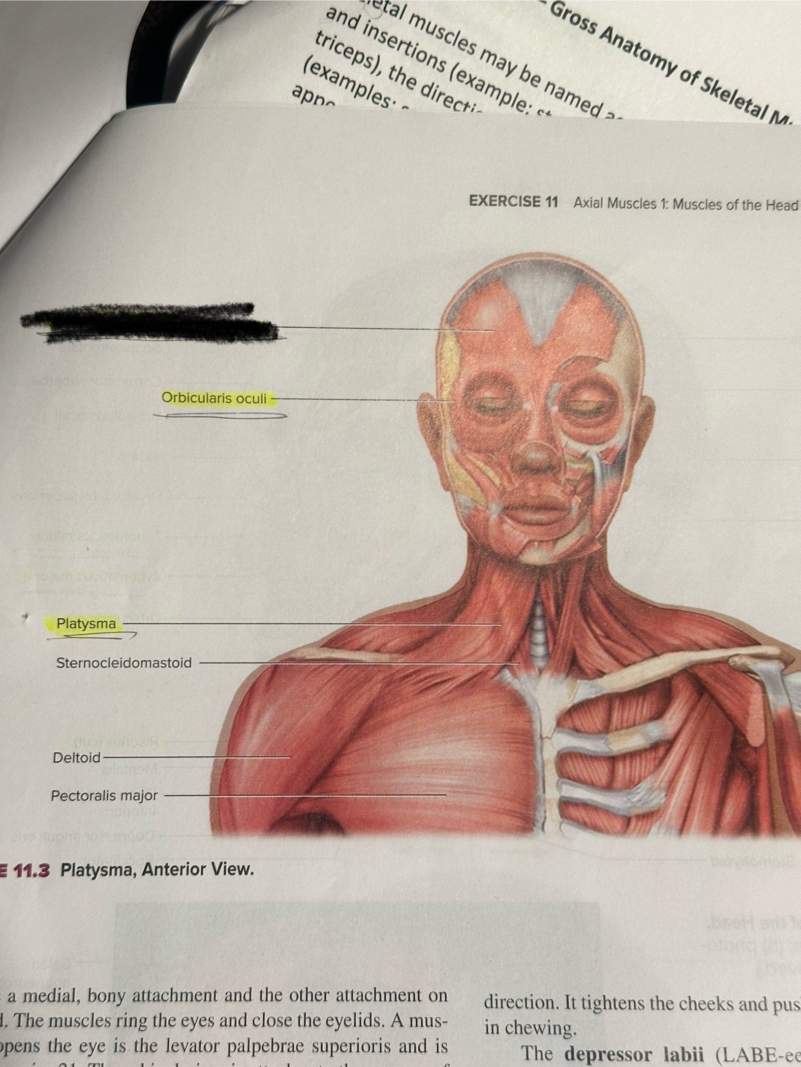 <p>Location crossed out</p>