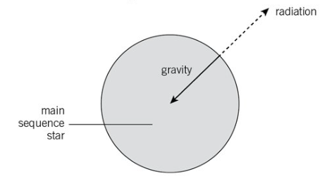 <ul><li><p>eventually radiation pressure pushing outwards from fusion reaction in thestar or in our sun is equal to gravity pulling inwards</p></li><li><p>the forces are balanced and the star is stable it will remain the same size</p></li><li><p>it is a main sequence star</p></li></ul><p></p>