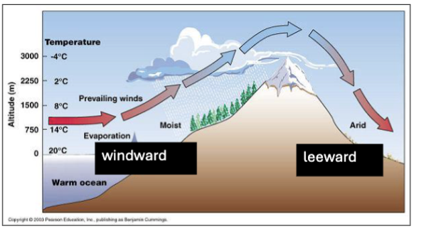 <ul><li><p><strong>mountain ranges: </strong>deflect winds, produce rain gradients</p></li><li><p>mountain ranges affect wind current and precipitation patterns</p></li></ul><p></p>