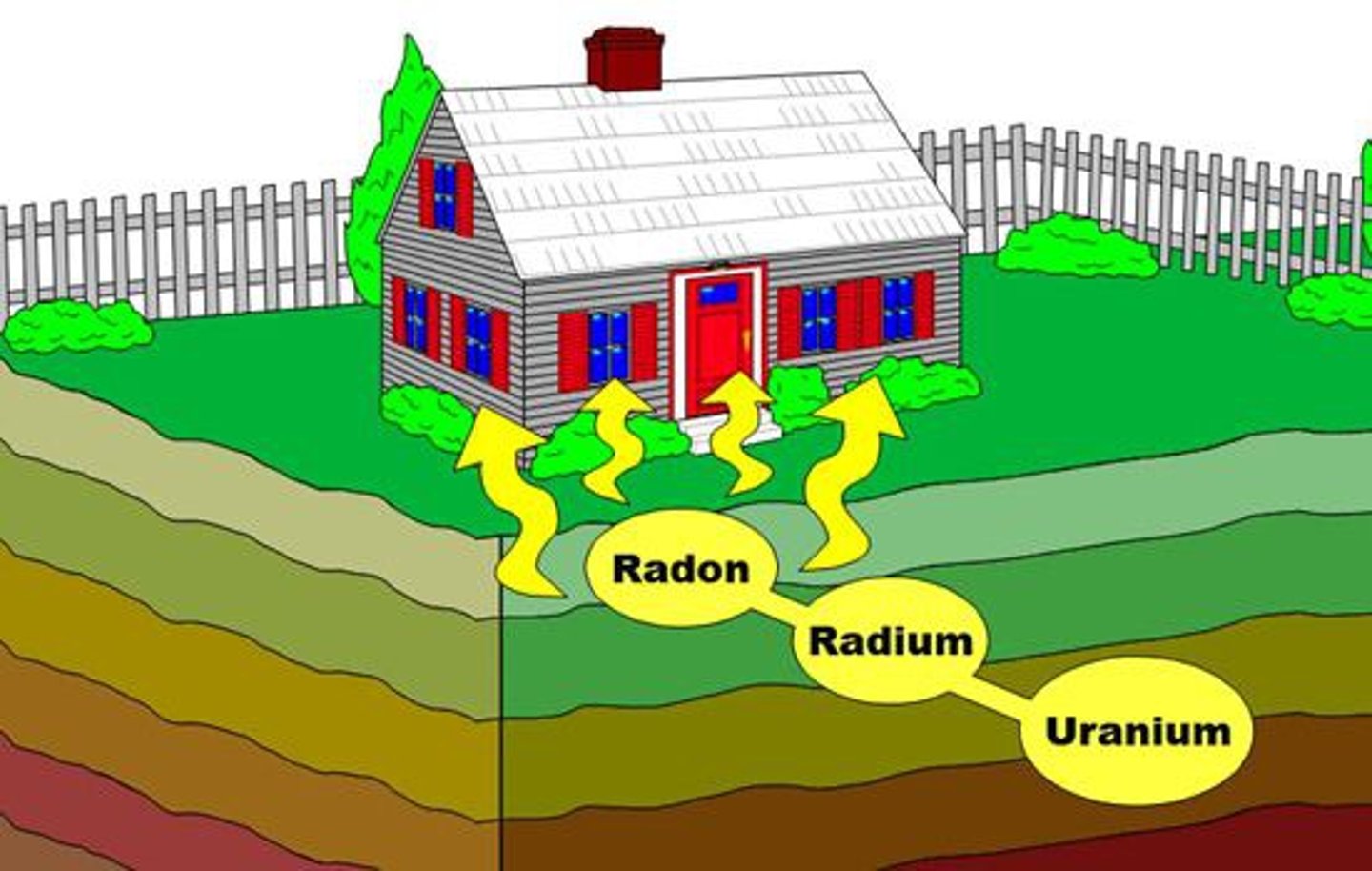 <p>- Focuses on single case or subjects</p><p>- Provide more in-depth picture</p>
