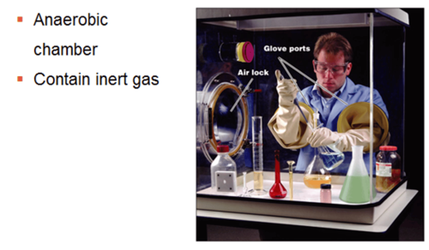 <p>An enclosed compartment maintained in an anaerobic environment; a special port is used to add or remove items</p>