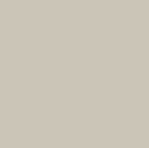 <p>Color? </p>
