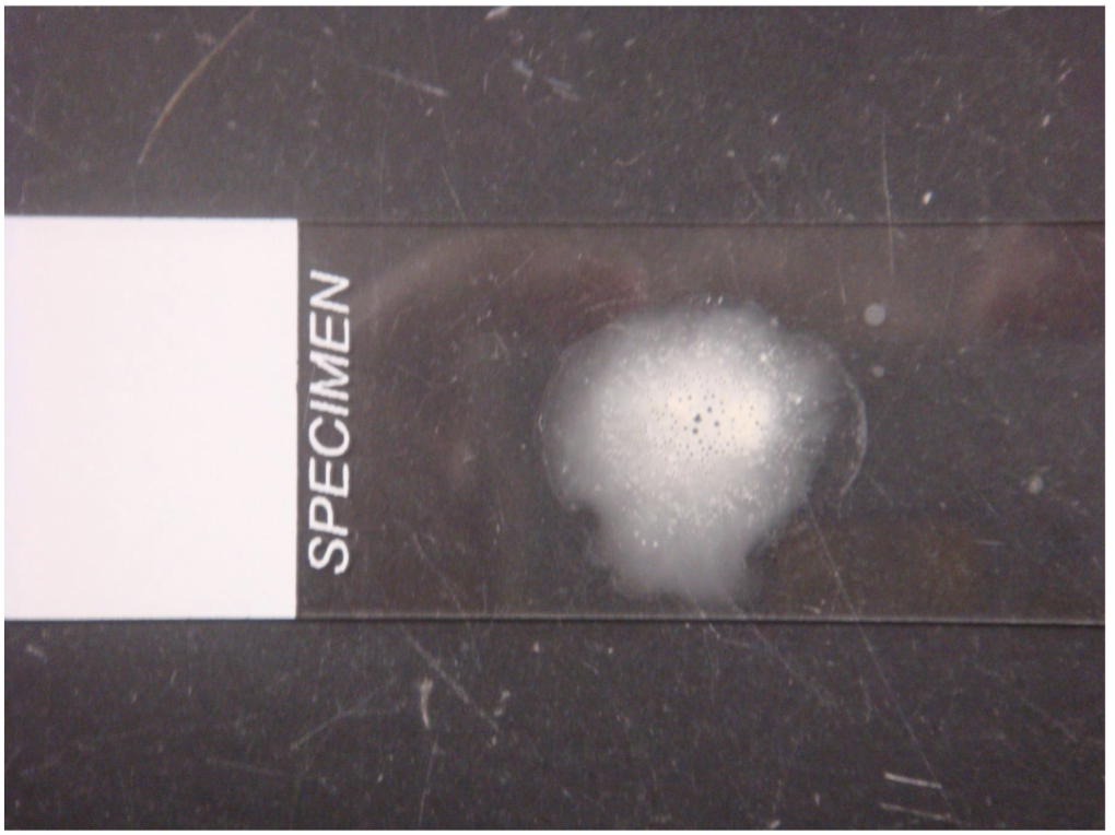 <p>what’s this?</p>