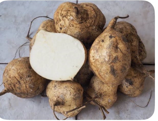 <p>Jicama</p>