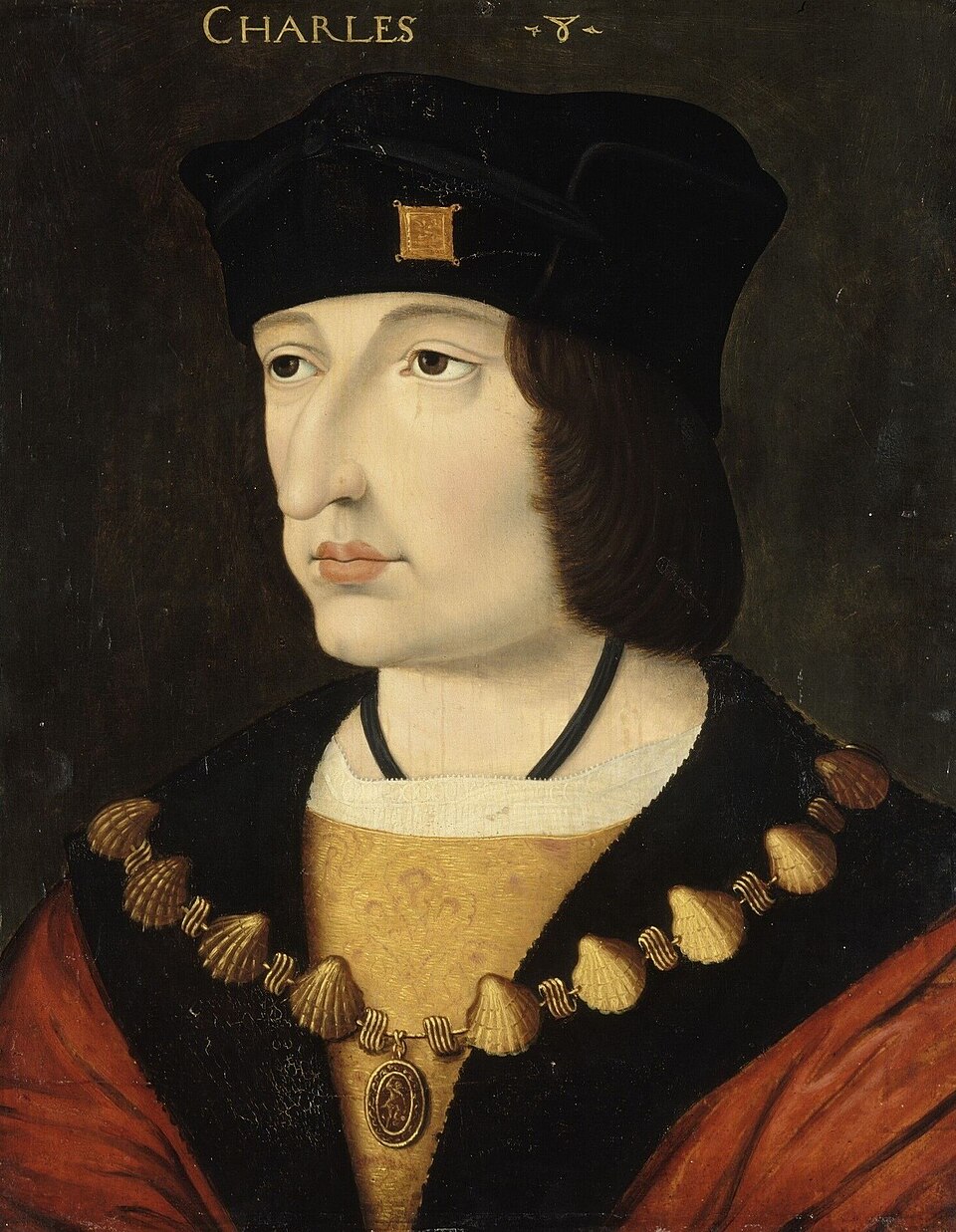 <p>1483 - 1498 - Charles VIII (All Facts) </p>