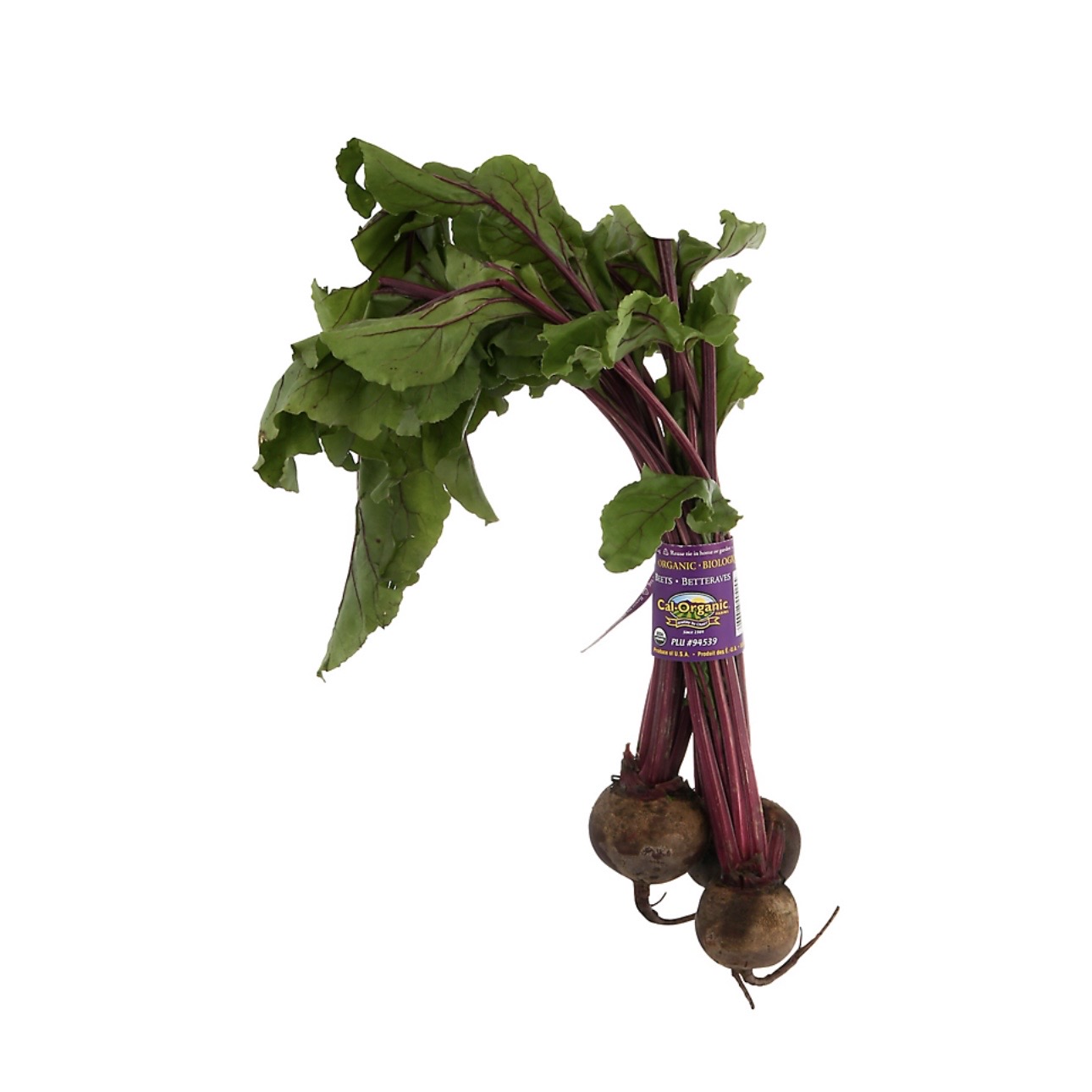<p>Bunch beets </p>
