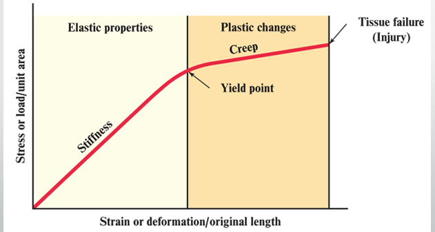 <p>ability of tissue to withstand stress and strain is exceeded</p><p>(spot at the end of the chart; where injury occurs)</p>