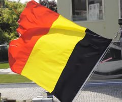 <p>Belgian</p>