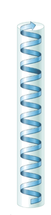<p>long narrow water insoluble protein </p>