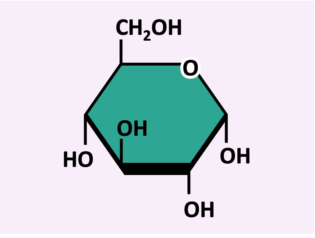<ul><li><p>a small molecular unit that can be joined to other monomers to make a larger molecule (building block)</p></li><li><p>for carbohydrates, individual sugar molecules can act as building blocks. </p></li><li><p>Ex] glue → one sugar unit </p></li></ul><p></p>